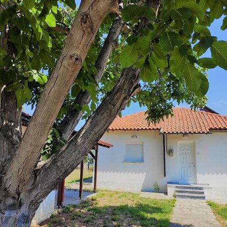 Вилла White Clam Vintage House With Sea View & Garden Макри-Ялос Экстерьер фото